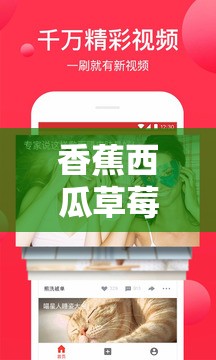 香蕉西瓜草莓茄子视频 APP：畅享多元精彩视频盛宴