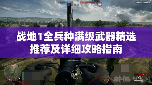 战地1全兵种满级武器精选推荐及详细攻略指南