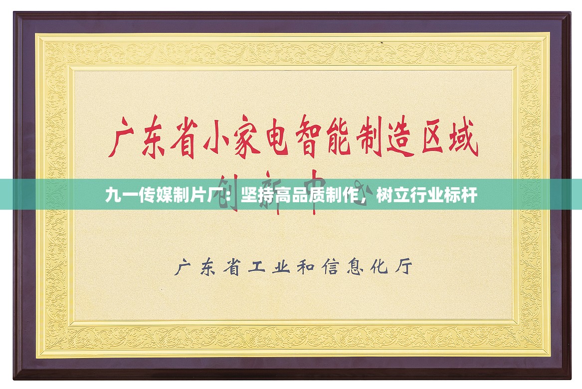 九一传媒制片厂：坚持高品质制作，树立行业标杆