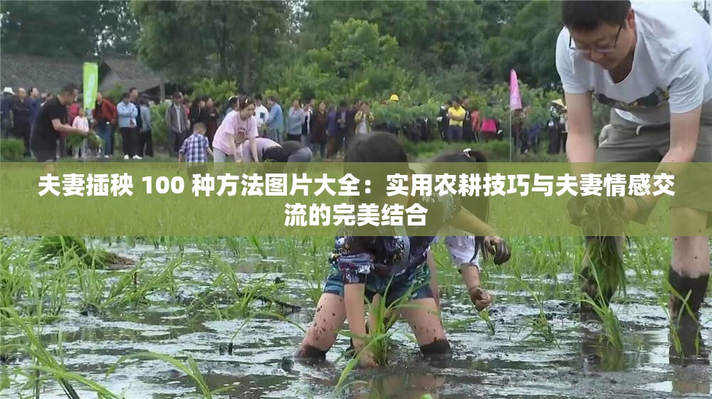 夫妻插秧 100 种方法图片大全：实用农耕技巧与夫妻情感交流的完美结合