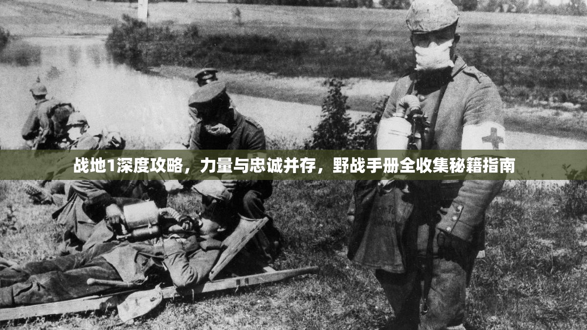 战地1深度攻略，力量与忠诚并存，野战手册全收集秘籍指南