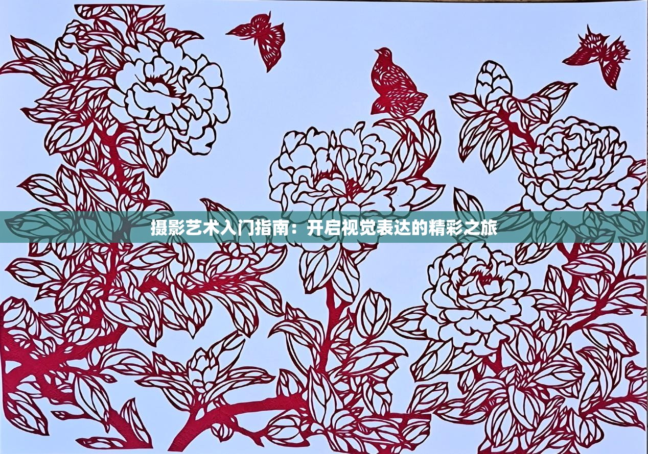 摄影艺术入门指南：开启视觉表达的精彩之旅