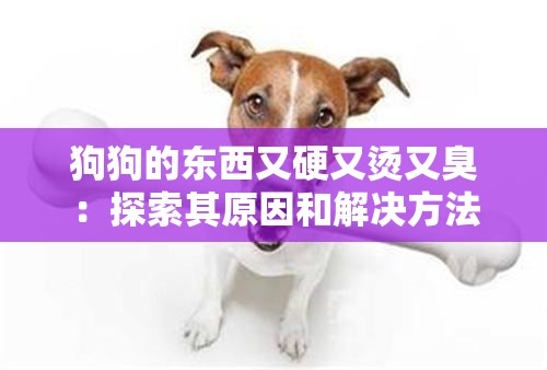狗狗的东西又硬又烫又臭：探索其原因和解决方法