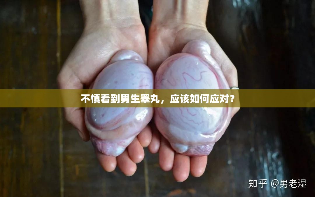 不慎看到男生睾丸，应该如何应对？