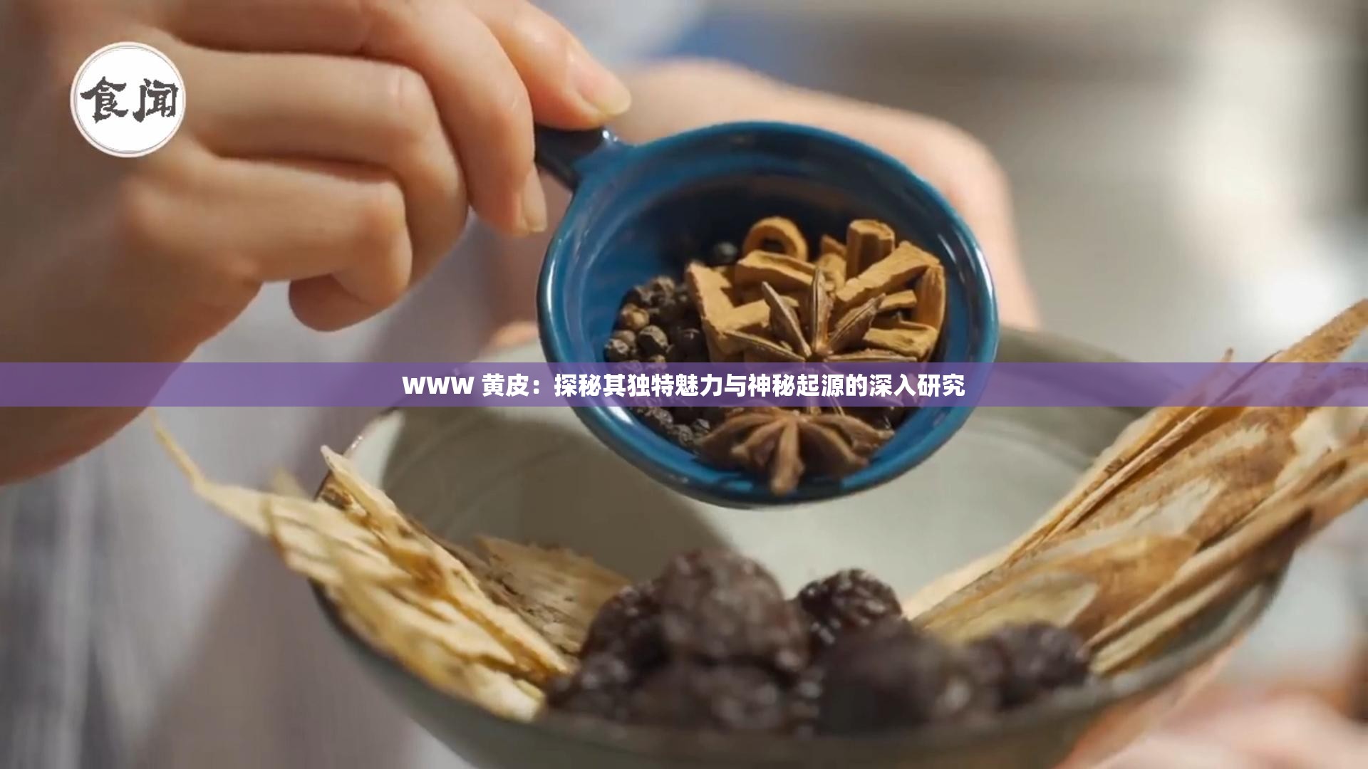 WWW 黄皮：探秘其独特魅力与神秘起源的深入研究