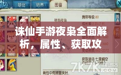 诛仙手游夜枭全面解析，属性、获取攻略及刷新地点时间详解