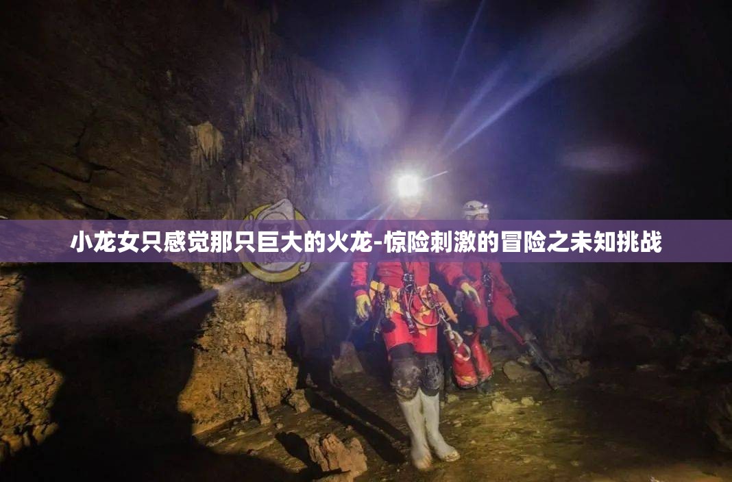 小龙女只感觉那只巨大的火龙-惊险刺激的冒险之未知挑战