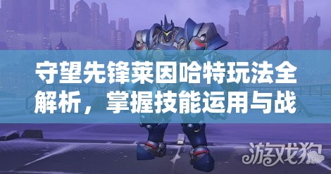 守望先锋莱因哈特玩法全解析，掌握技能运用与战术策略，助你驰骋战场
