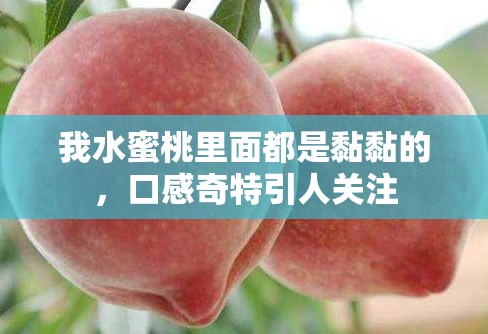 我水蜜桃里面都是黏黏的，口感奇特引人关注