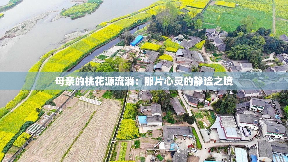 母亲的桃花源流淌：那片心灵的静谧之境