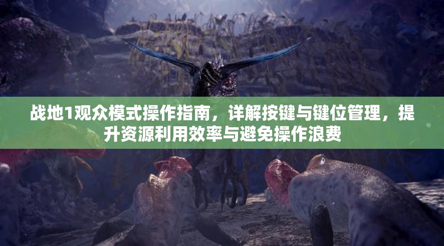 战地1观众模式操作指南，详解按键与键位管理，提升资源利用效率与避免操作浪费