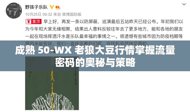 成熟 50-WX 老狼大豆行情掌握流量密码的奥秘与策略
