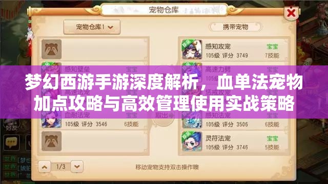 梦幻西游手游深度解析，血单法宠物加点攻略与高效管理使用实战策略