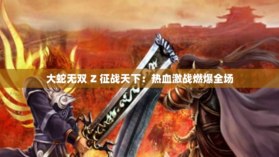 大蛇无双 Z 征战天下：热血激战燃爆全场