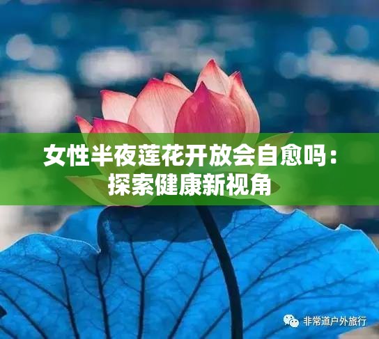 女性半夜莲花开放会自愈吗：探索健康新视角