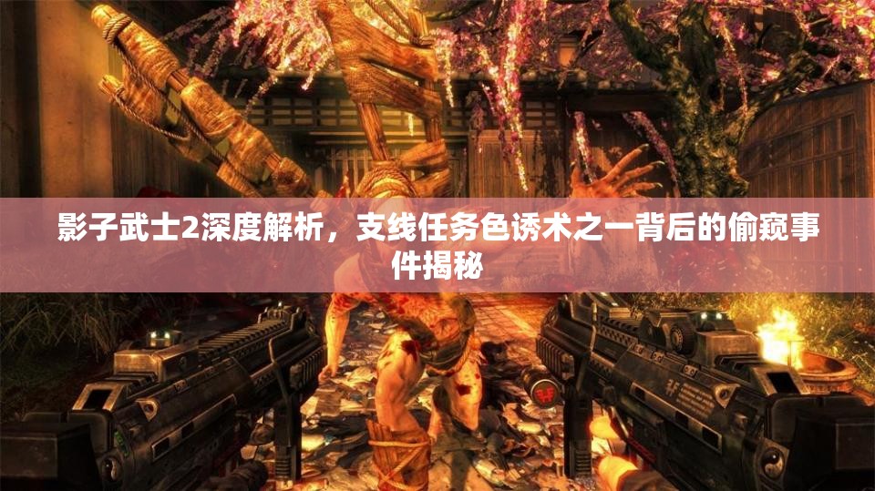 影子武士2深度解析，支线任务色诱术之一背后的偷窥事件揭秘