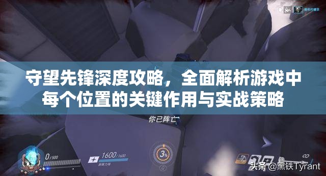 守望先锋深度攻略，全面解析游戏中每个位置的关键作用与实战策略