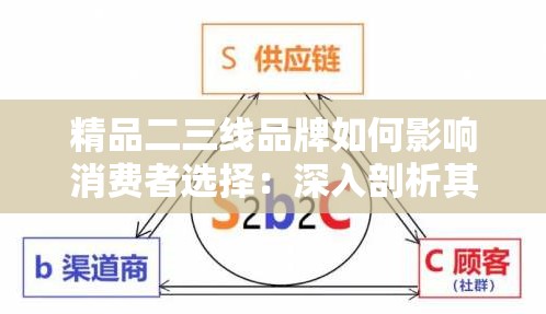 精品二三线品牌如何影响消费者选择：深入剖析其作用机制