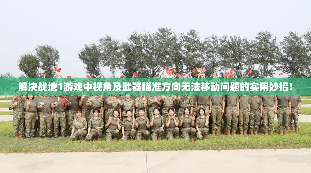 解决战地1游戏中视角及武器瞄准方向无法移动问题的实用妙招！