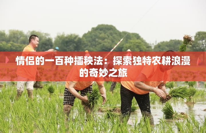 情侣的一百种插秧法：探索独特农耕浪漫的奇妙之旅