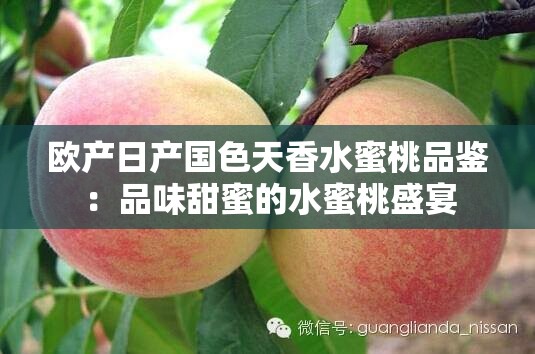 欧产日产国色天香水蜜桃品鉴：品味甜蜜的水蜜桃盛宴