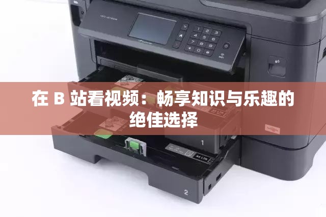 在 B 站看视频：畅享知识与乐趣的绝佳选择