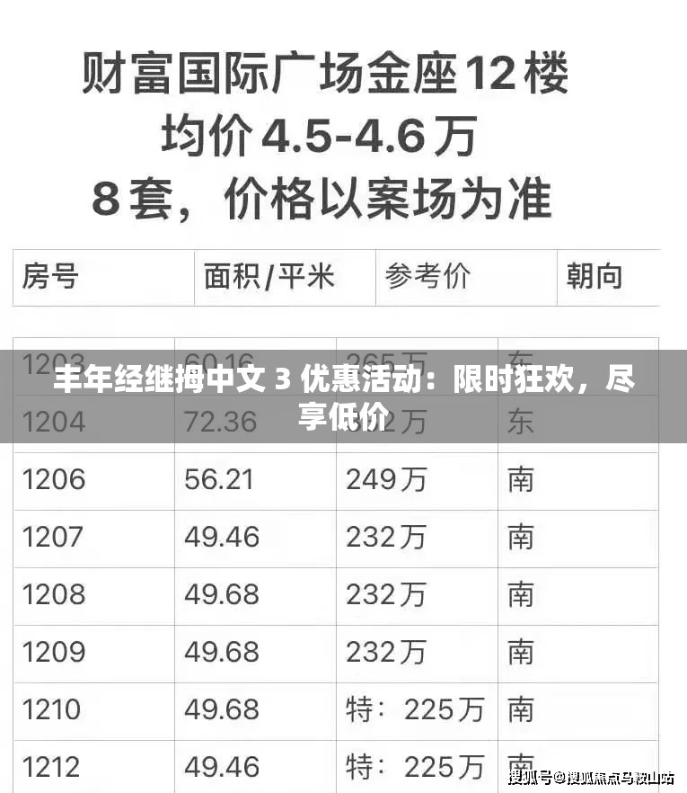 丰年经继拇中文 3 优惠活动：限时狂欢，尽享低价