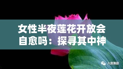 女性半夜莲花开放会自愈吗：探寻其中神秘的自愈机制