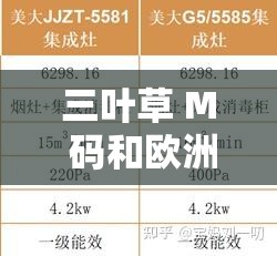 三叶草 M 码和欧洲码区别-尺码差异与选购指南
