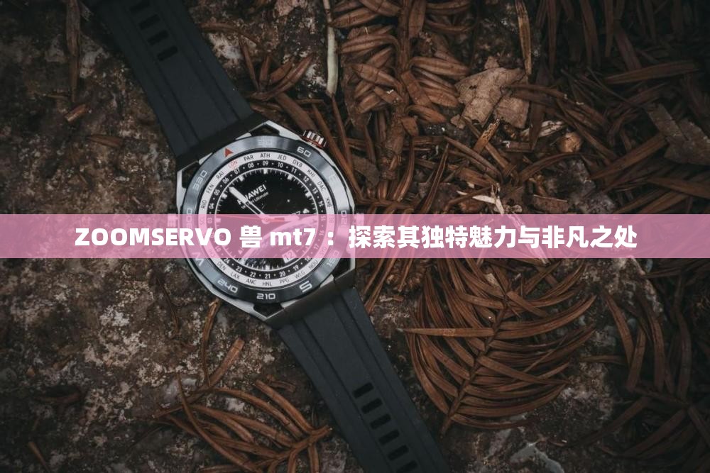 ZOOMSERVO 兽 mt7 ：探索其独特魅力与非凡之处