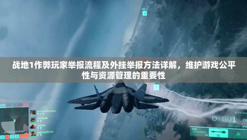 战地1作弊玩家举报流程及外挂举报方法详解，维护游戏公平性与资源管理的重要性