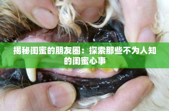 揭秘闺蜜的朋友圈：探索那些不为人知的闺蜜心事