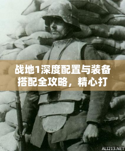 战地1深度配置与装备搭配全攻略，精心打造你的个性化战场制胜武器