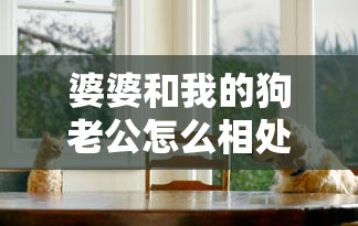 婆婆和我的狗老公怎么相处：探寻和谐共处的秘诀与策略
