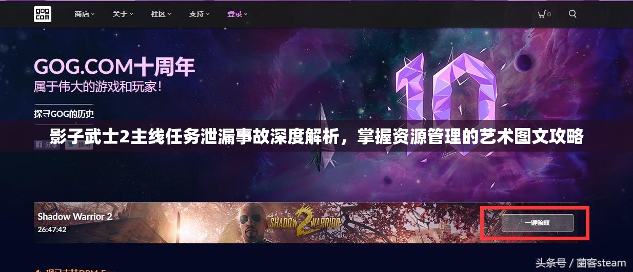 影子武士2主线任务泄漏事故深度解析，掌握资源管理的艺术图文攻略