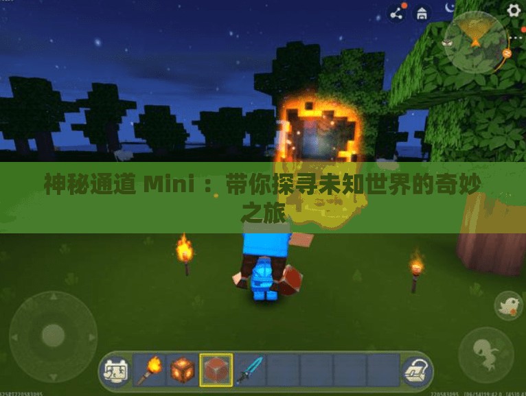 神秘通道 Mini ：带你探寻未知世界的奇妙之旅