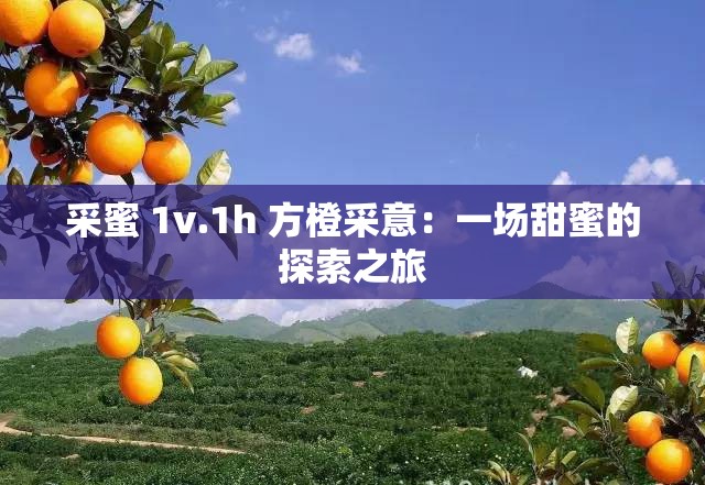 采蜜 1v.1h 方橙采意：一场甜蜜的探索之旅