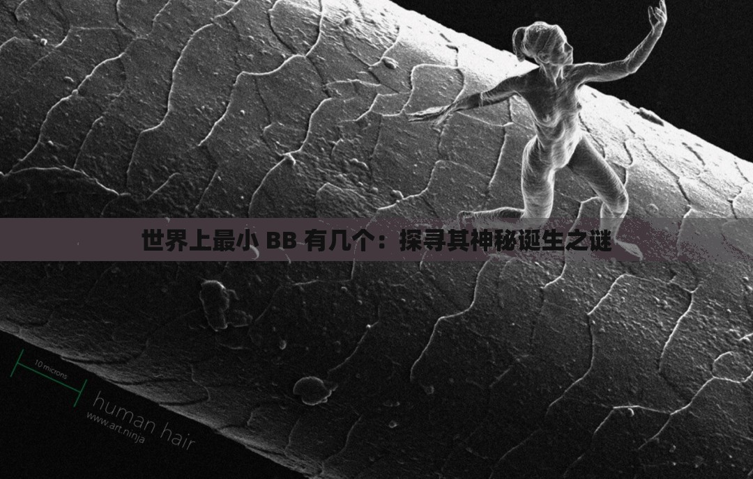 世界上最小 BB 有几个：探寻其神秘诞生之谜