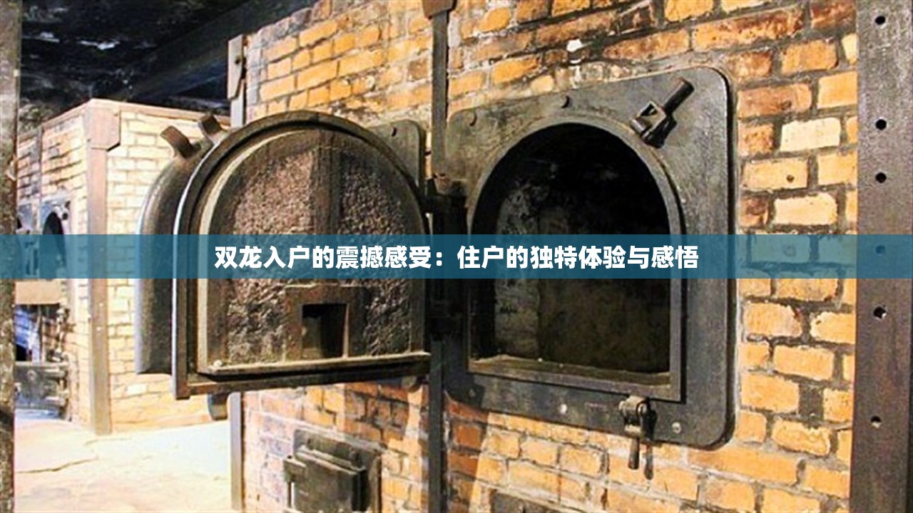 双龙入户的震撼感受：住户的独特体验与感悟