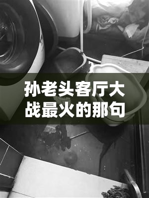 孙老头客厅大战最火的那句经典场景引发的震撼故事