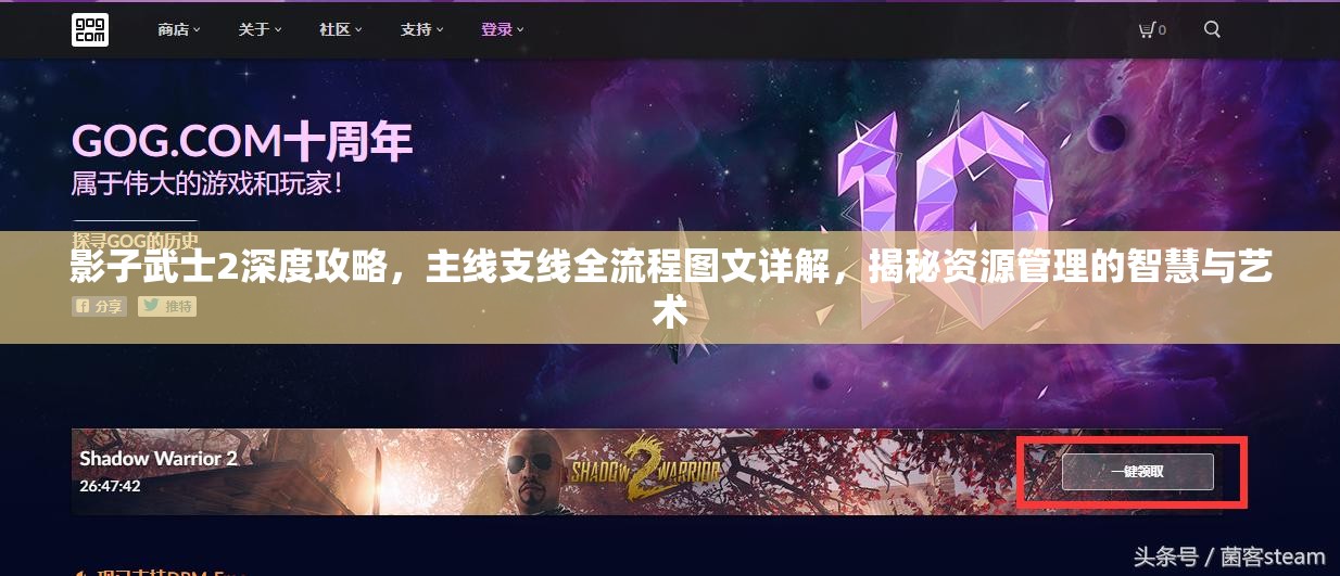 影子武士2深度攻略，主线支线全流程图文详解，揭秘资源管理的智慧与艺术