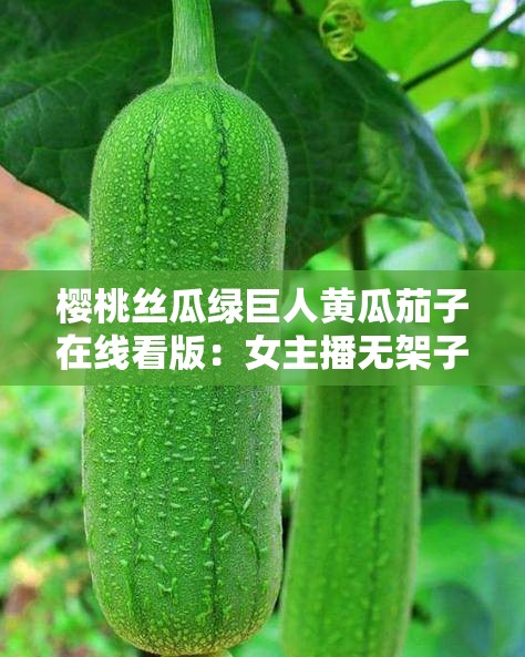 樱桃丝瓜绿巨人黄瓜茄子在线看版：女主播无架子受网友追捧