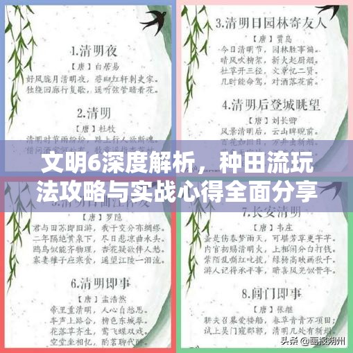 文明6深度解析，种田流玩法攻略与实战心得全面分享