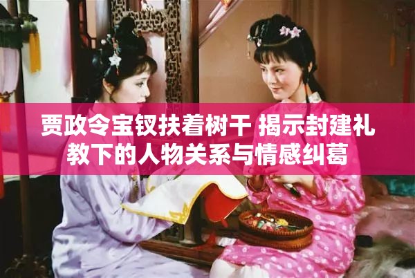 贾政令宝钗扶着树干 揭示封建礼教下的人物关系与情感纠葛