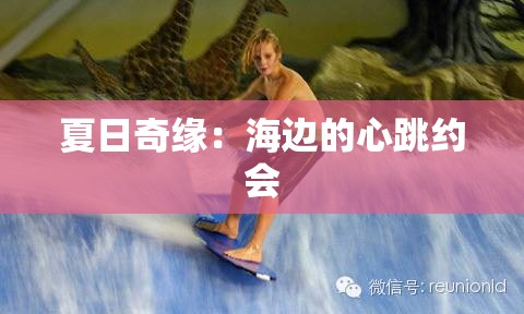 夏日奇缘：海边的心跳约会