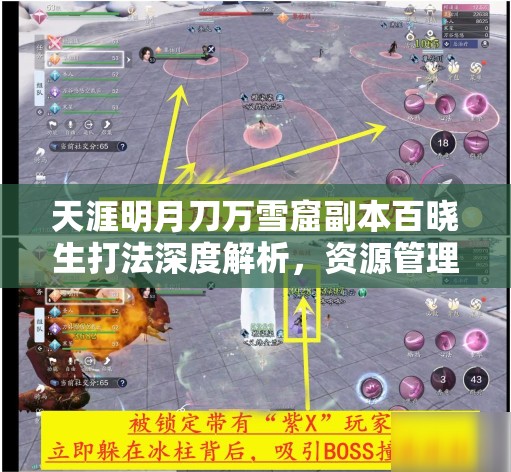 天涯明月刀万雪窟副本百晓生打法深度解析，资源管理技巧与最大化战斗价值攻略