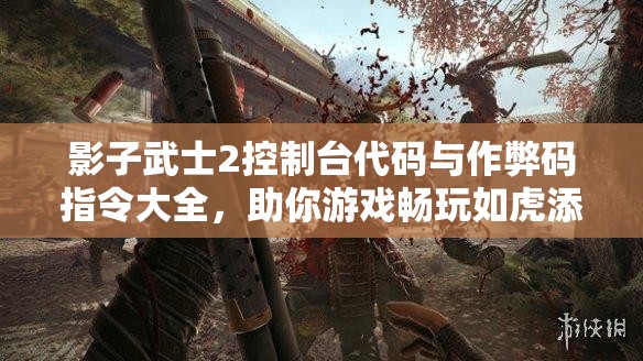 影子武士2控制台代码与作弊码指令大全，助你游戏畅玩如虎添翼