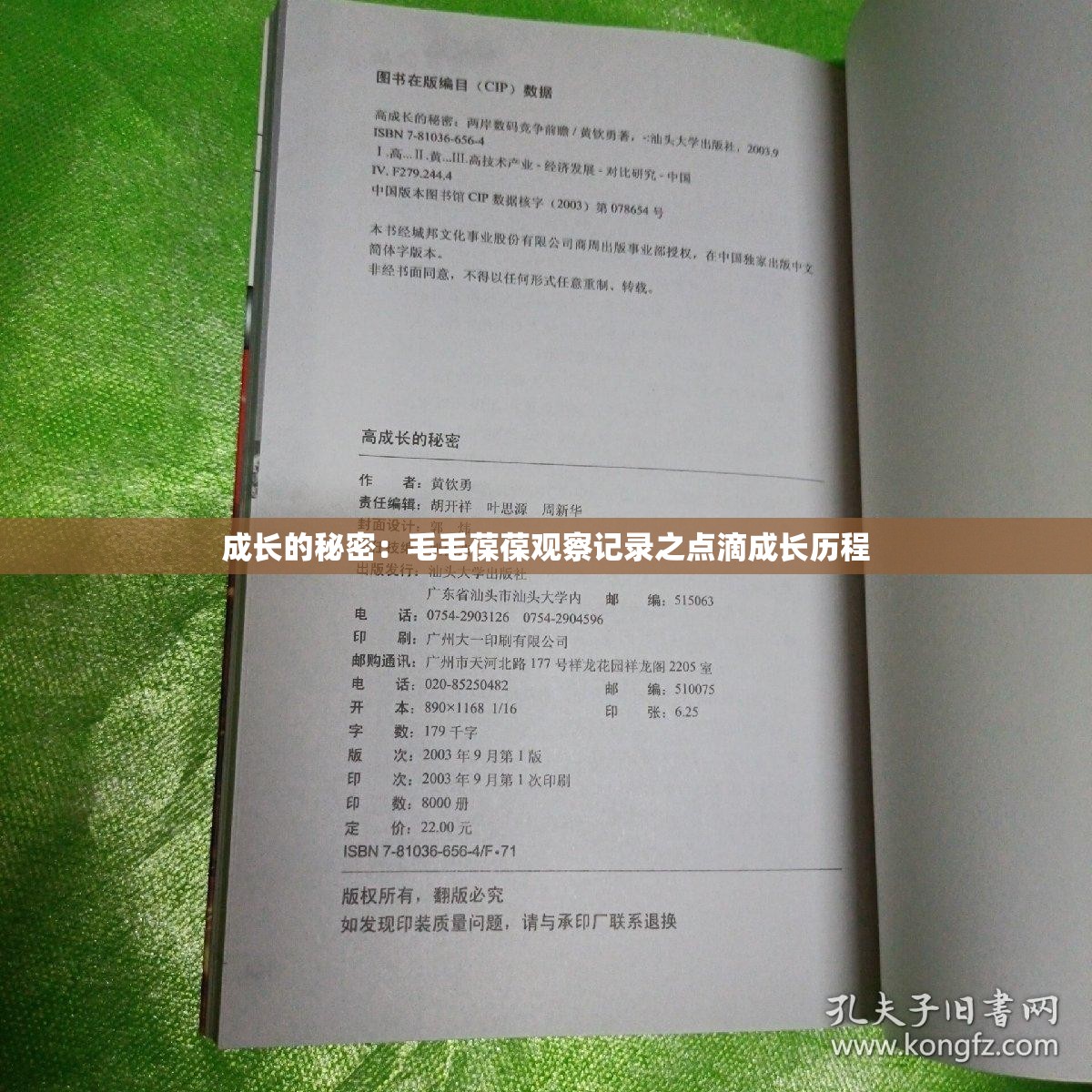 成长的秘密：毛毛葆葆观察记录之点滴成长历程
