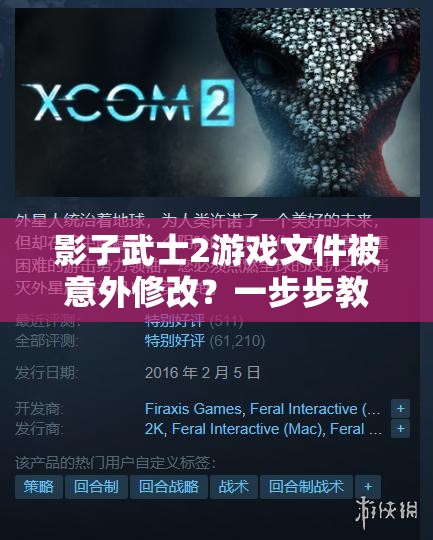 影子武士2游戏文件被意外修改？一步步教你快速恢复与解决！