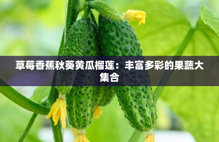 草莓香蕉秋葵黄瓜榴莲：丰富多彩的果蔬大集合